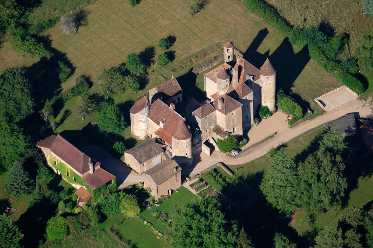 Chateau De Balleure Etrigny Экстерьер фото