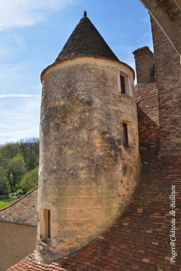 Chateau De Balleure Etrigny Экстерьер фото